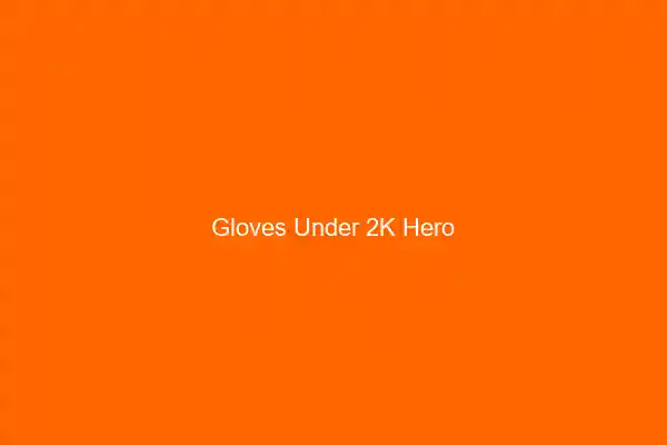 Best Riding Gloves Under ₹2,000