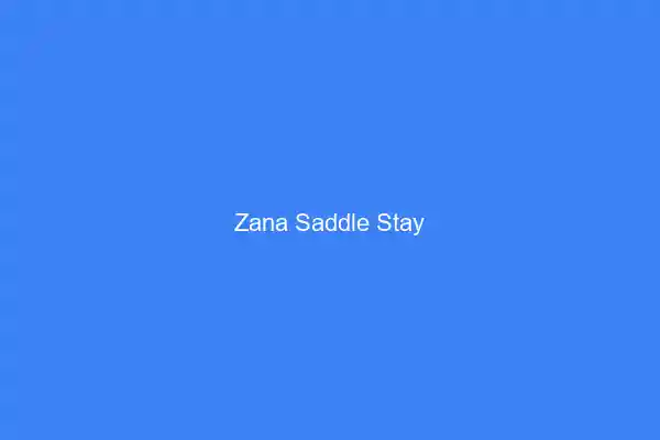 Zana RE Saddle Stay
