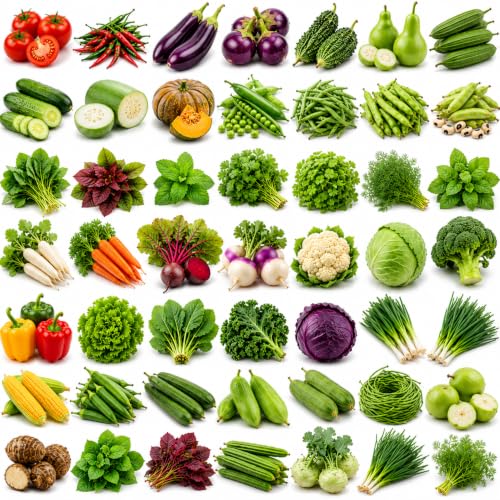 30 Variety Seeds Combo Pack with 3500+ Seeds for Kitchen Gardening