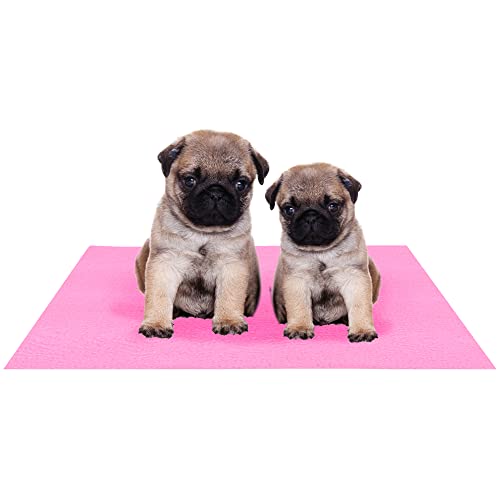 Amorite Washable Dog Pee Pad 70 X 50 Pink (Small) | Reusable Pee Pads for Dogs | Puppy Potty Training Mat | Indoor Pet Mat | Non-Slip Pee Mat for Dogs and Puppies