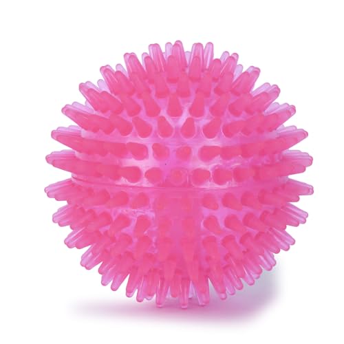 Basil Spiked Squeaky Chew Ball for Dogs & Puppies (Pink)