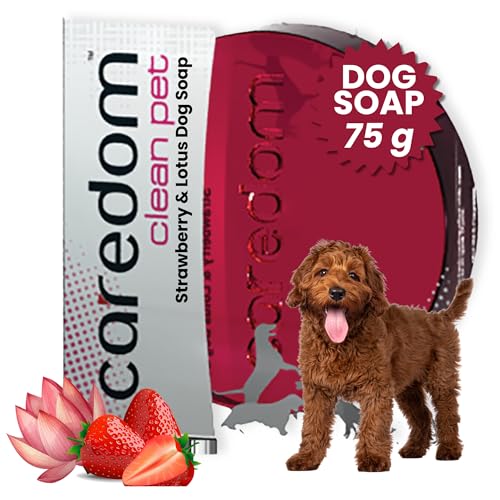 Caredom Clean Pet Strawberry & Lotus Dog Soap 75 g - Transparent Glycerine Based Pet Bath Bar | Refreshing Fruity & Floral Fragrance | Gentle Cleansing for Soft Coat & Healthy Skin