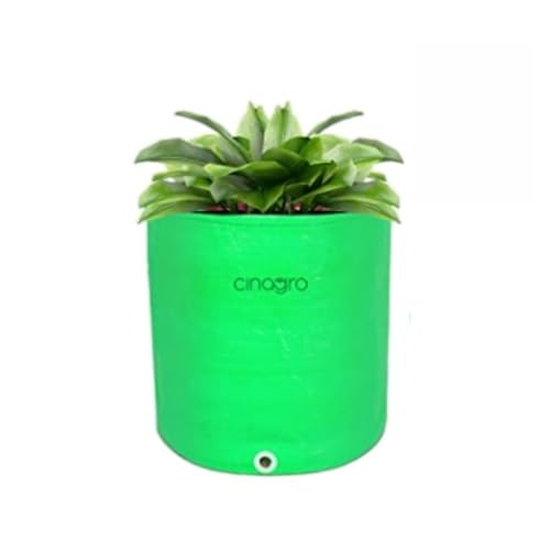 Cinagro 260 GSM Premium HDPE Grow Bag 12 x 12 Inch, Pack of 1, Green, Round