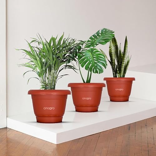 CINAGRO Plastic Round Pot, 10 inch - Pack of 3, Fits 8.2 inch Bottom Tray, Gamla Pot, UV Protected Planter, Heavy-Duty, Durable Plant Container, Gamla for Indoor Home Decor & Outdoor Garden