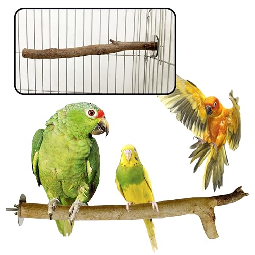 CONGO® - NATURAL PARROT TREAT 100% Natural Eucalyptus 7