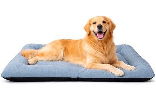 CozyPaws Premium Soft Reversible Velvet Dog Bed with PP Fiber Filling | Comfortable Pet Bed for Dogs, Cats & Rabbits | Washable & Lightweight | Grey & Black | Medium (90 x 70 x 10 cm)
