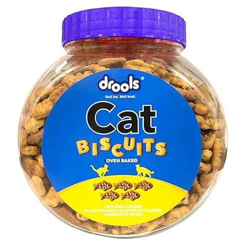 Drools Adult Cat Treat Biscuits 400g Jar | Real Chicken Flavour | Encourages Activity | Supports Oral Health | Training & Discipline