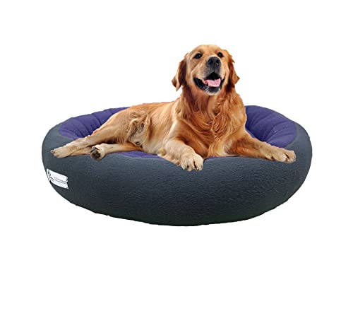 Furry Land Premium Small Size Dog Bed for Small Dogs and Puppies Anti Skid Bottom Washable Orthopedic Dog/cat Beds Sky Blue/Black