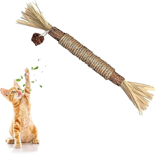 Inralimot 1 Pack Silvervine Cat Toy, Silvervine Sticks Toys for Indoor Cats, Cat & Kitten Chew Toys for Aggressive Chewers, Cat Dental Toy for Kitten Teeth Cleaning, Matatabi Silvervine for Cats.