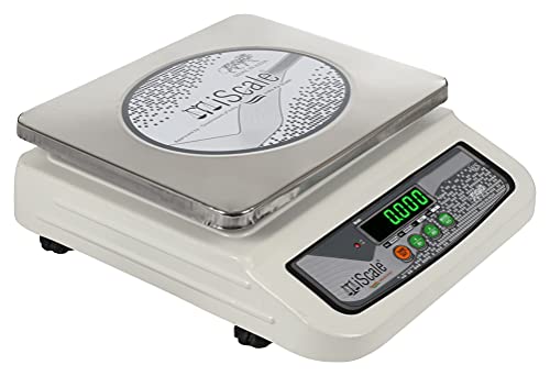 iScale i-06: 30kg x 1g Digital Chargeable Weighing Machine, Front & Back Display, Stainless Steel Pan - Ideal for Shop with Certificate