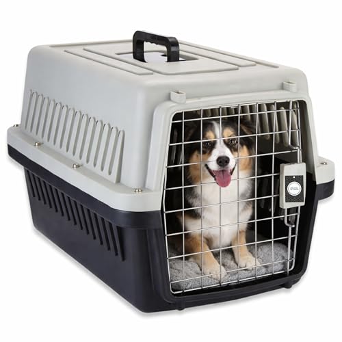 Little Needs Pet Carrier Fiber Cage - (Large, Grey) (58 x 37 x 35 cm) for Cats and Small Dogs I Portable 19 inch Travel Crate with Metal Door & Spring Lock | Ventilated Easy-Carry Handle Kennel House