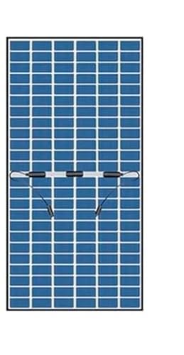 Loom Solar Panel Shark 600W TOPCon Bifacial, N-Type, Dual Glass Silver Frame Panel,144 Cells Half-Cut, IP68 Rated, BIS Certified,Household Rooftop, Performance Warranty 25 Years (Pack of 1)