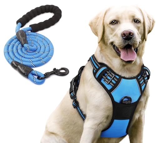 Lyrovo Adjustable No-Pull Dog Harness with Leash Set for Small, Medium & Large Dogs – Reflective, Breathable, Comfortable Vest Harness for Training & Walking (Blue, M (14-22Kg))