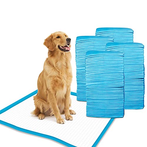 Patch & Marshall Pet Training Pads with Adhesive Floor Tape,Heavy Duty,Rapid Dry & Absorbent Core, Suitable for Puppies,Small,Medium,Large Dogs ,60 Count (XL- 60 x 90 cm)