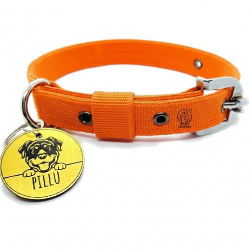Pawpro Adjustable Nylon Dog Collar with Secure D-Ring from Small - Medium to Large Breeds (Orange, Medium)