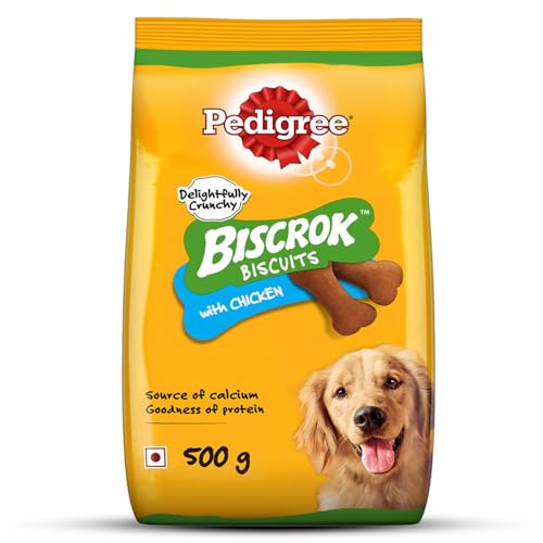 Pedigree Biscrok Biscuits (Above 4 Months) Dog Treats, Chicken Flavour, 500 g, Source of Calcium, Goodness of 15% Protein