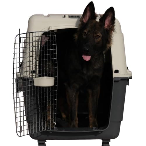 PETARCHI Design Studio for Pets - 40