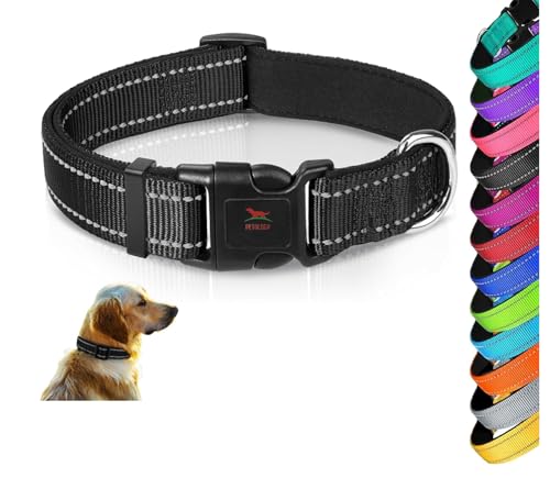 Petology Reflective Adjustable Dog Collar for Small Dogs (20-30 cms) | Soft Neoprene Padded Nylon Pet Collar with Safe & Quick Release Buckle | Comfortable, Lightweight & Durable