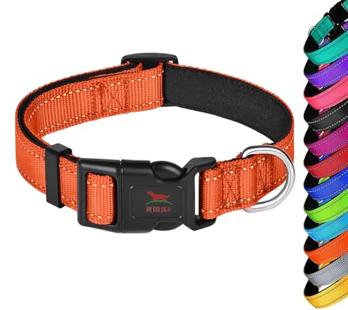 Petology Reflective Adjustable Dog Collar for Small Dogs (20-30 cms) | Soft Neoprene Padded Nylon Pet Collar with Safe & Quick Release Buckle | Comfortable, Lightweight & Durable