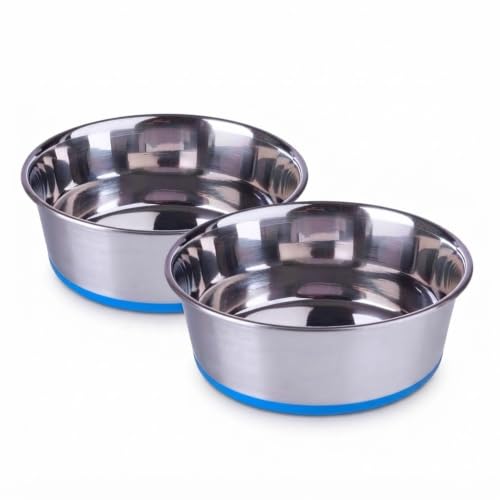 Pets Empire Stainless Steel Dog Bowls | Cat Feeding Bowls | Dog Cat Plate Bowls with Non-Slip Rubber Bases | Pet Feeder Bowl and Water Bowl, (2 X 450ml)