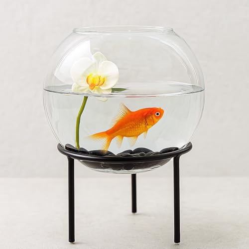 SHOBHANA ENTERPRISES Crystal Clear Glass Fish or Terrarium Round Bowl W/C with Straight Metal Stand (6 inches)