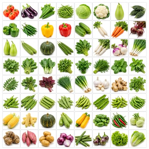 VATICO 3500+ Seeds Collection, 30 Varieties for Home Gardening