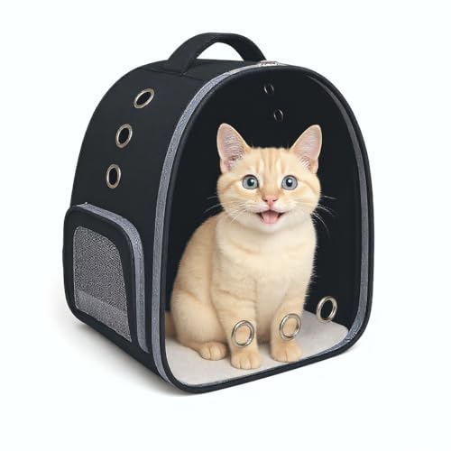 Xigwig Pet Carrier for Cat & Small Dog and Puppy Kitty Transparent and Breathable Airline-Approved Hiking and Outdoor for Puppies & Cats (Black, Color)
