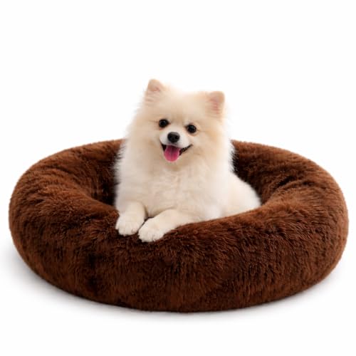 ZEXSAZONE Summer Comfortable Durable Both Sides usable and Washable Pet Bed | Cat Bed | Puppy Bed | Dog Bed | Medium Dog Bed for Cats Puppies (Coffee, Small)