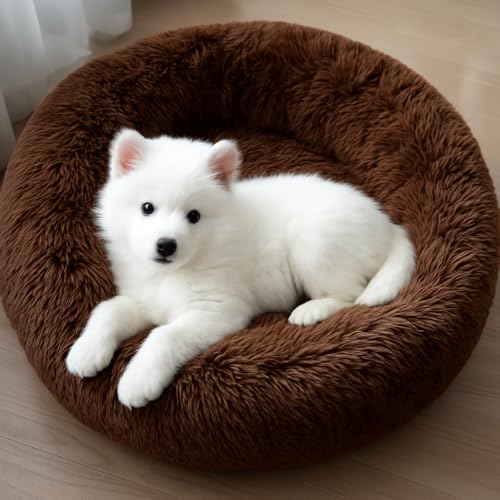 ZEXSAZONE Summer Round Donut Pet Bed for Cats and Puppies, Dogs, Cozy and Plush, Raised Bedside Support, Both Sides Use Like 2 in One, Washable, Best for Small Pets, Puppey & Cat - 50X50X12 CM